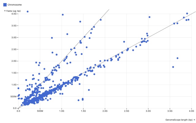 Scatter plot of assembly length against GenomeScope genome size estimate, with points clustering along 1:1 and 2:1 lines