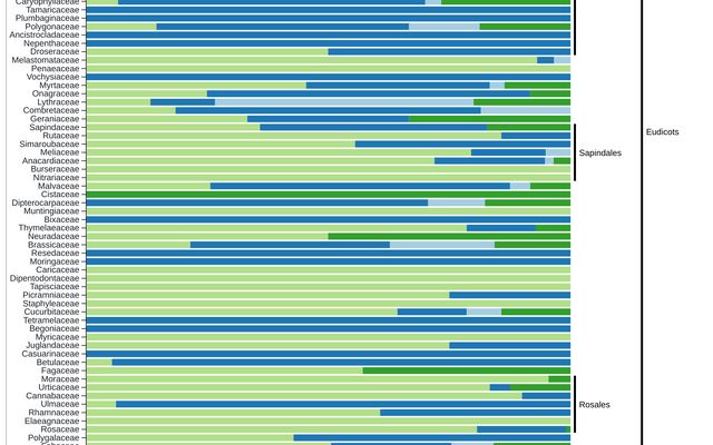 Stacked horizontal bars of seed dispersal modes for plant families, grouped by order